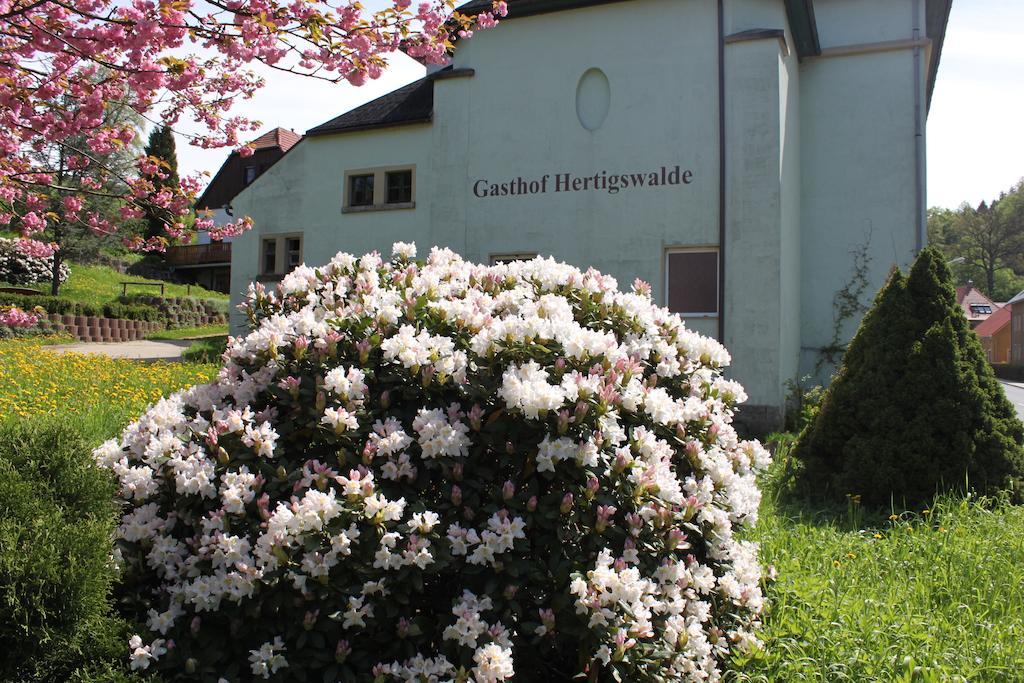Hertigswalde Guest house 3*